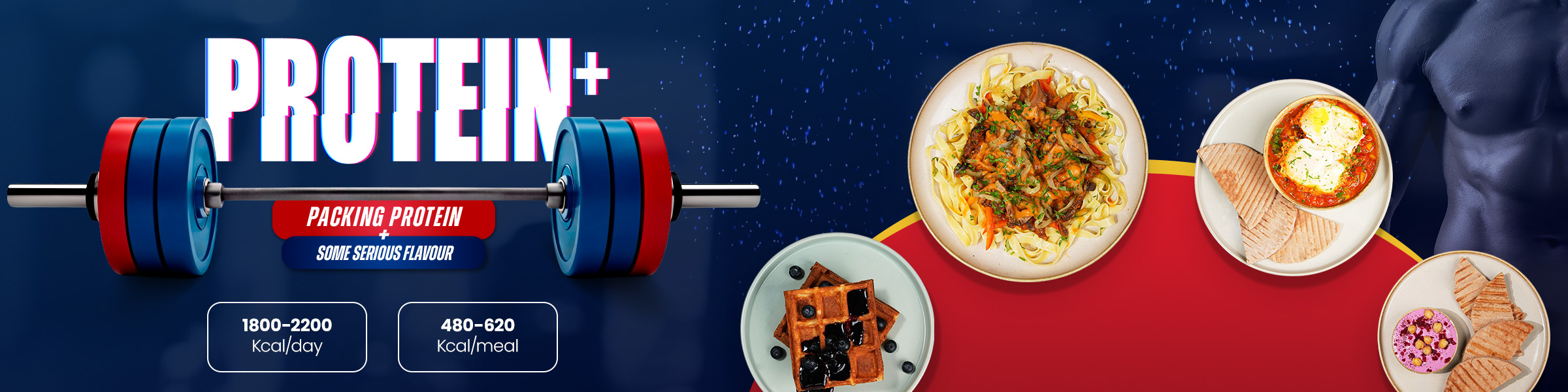 High Protein Meal Plan